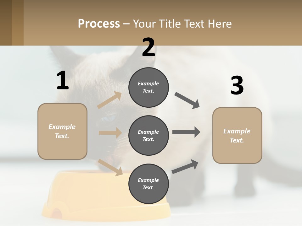 Ball Graphic Background PowerPoint Template