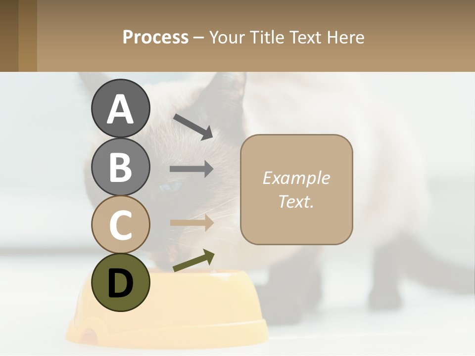 Ball Graphic Background PowerPoint Template