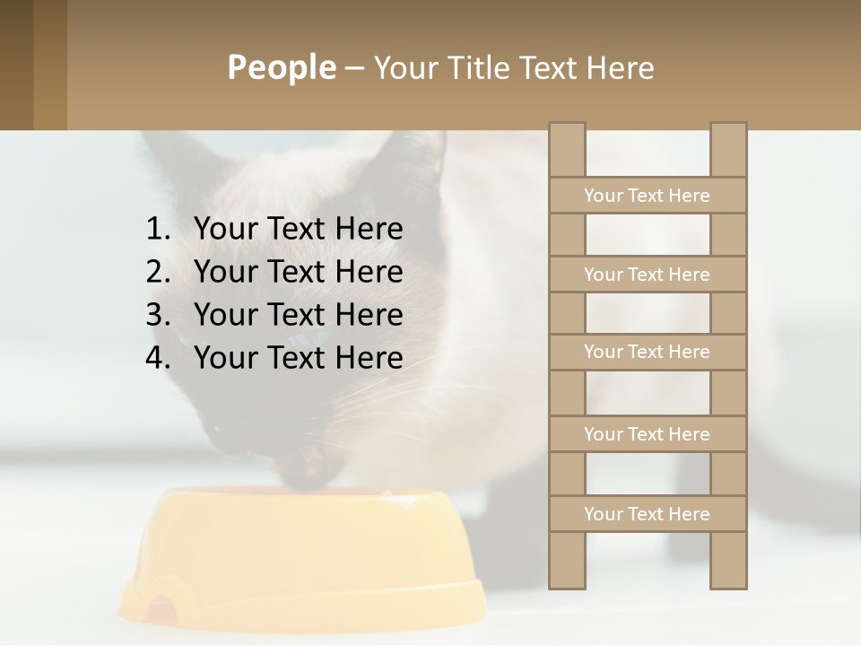 Ball Graphic Background PowerPoint Template