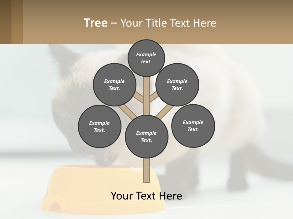 Ball Graphic Background PowerPoint Template