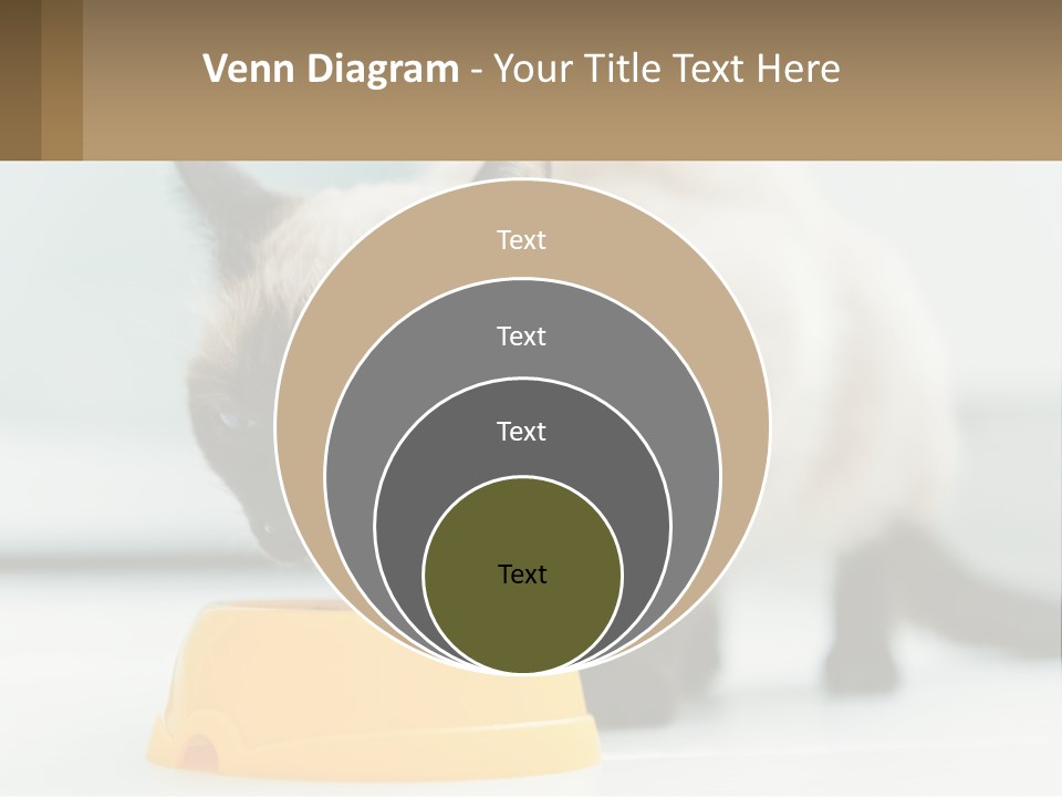 Ball Graphic Background PowerPoint Template