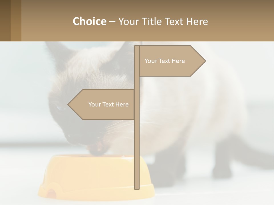 Ball Graphic Background PowerPoint Template