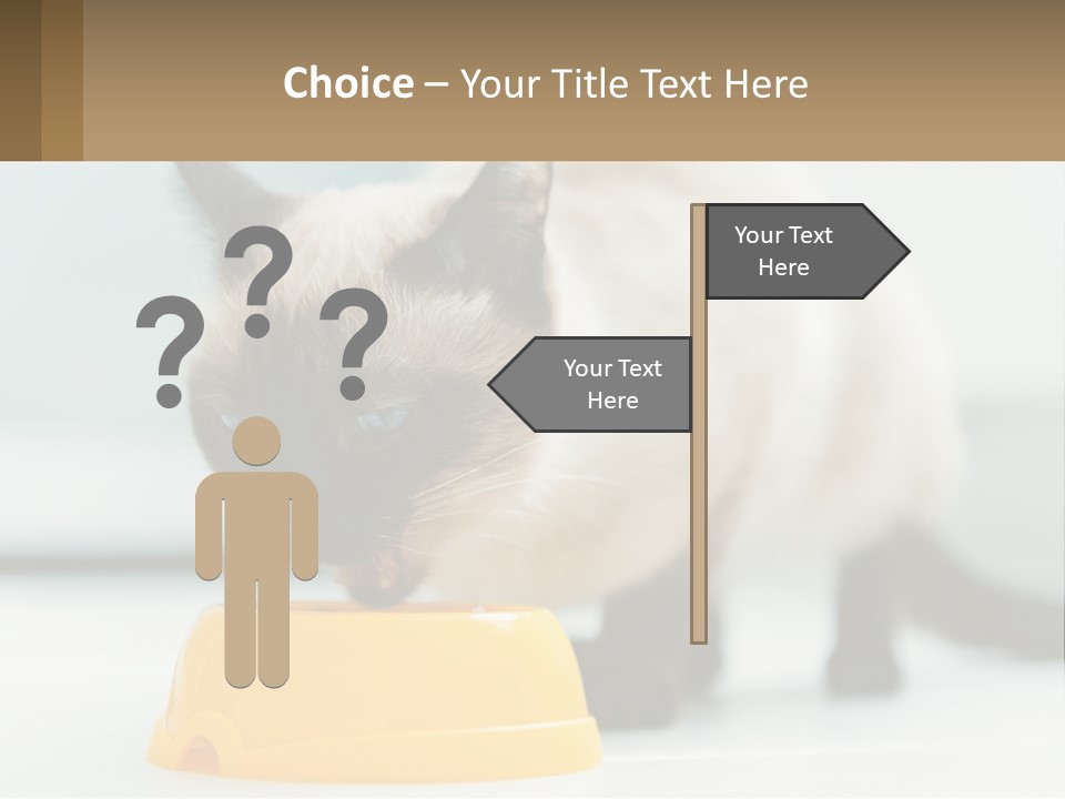 Ball Graphic Background PowerPoint Template