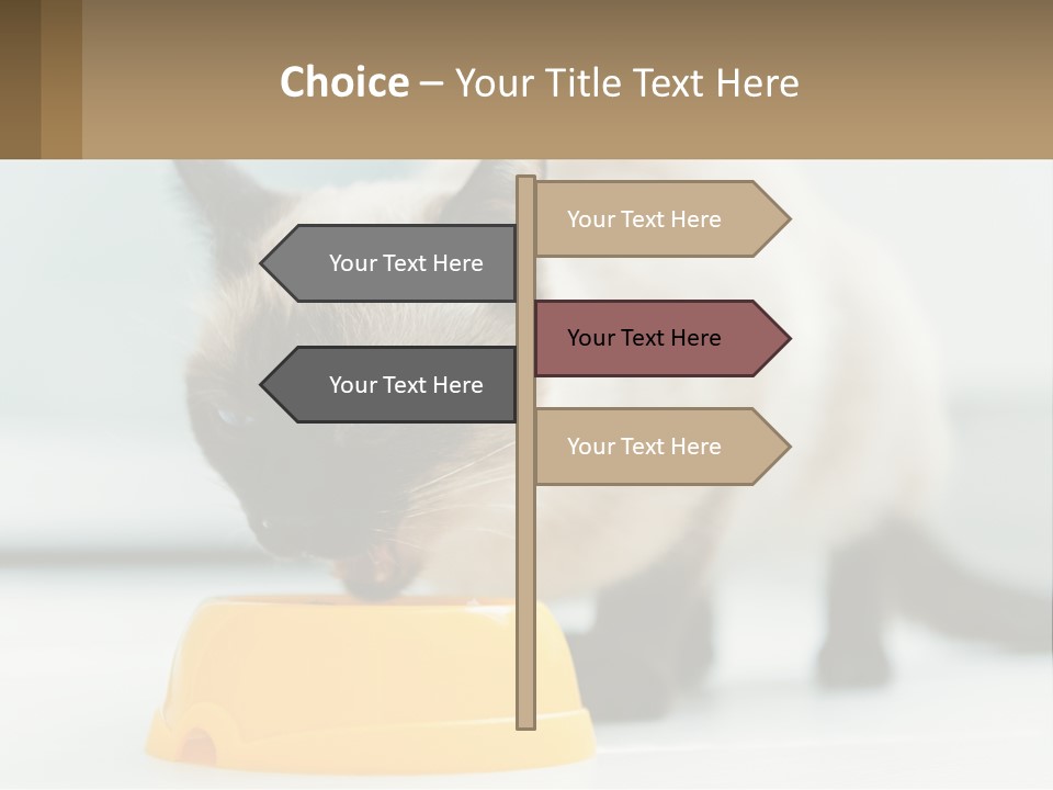 Ball Graphic Background PowerPoint Template