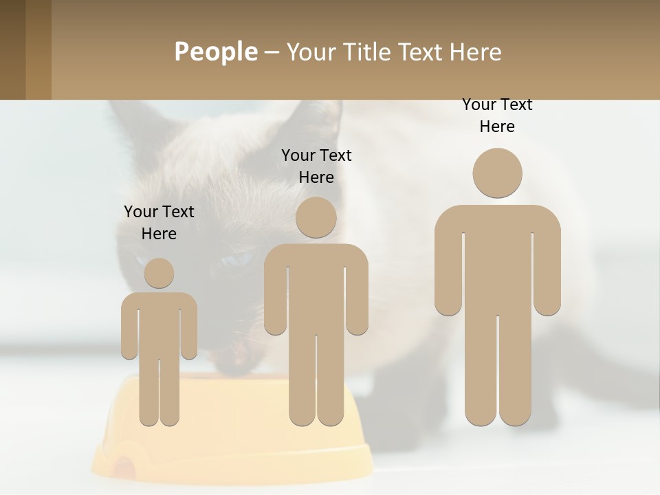 Ball Graphic Background PowerPoint Template