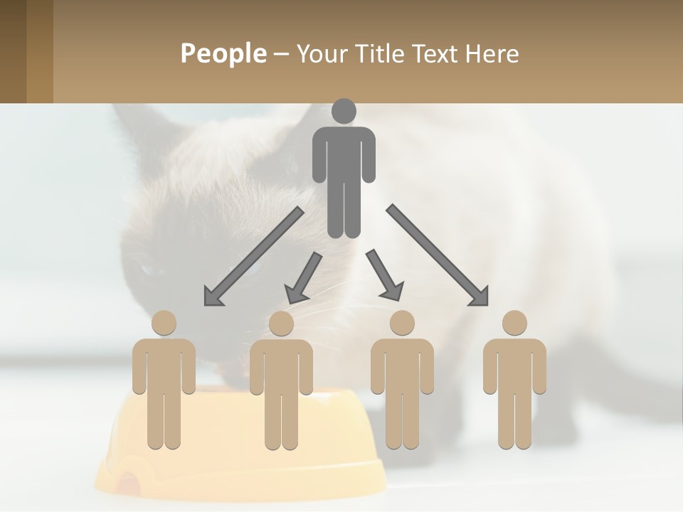 Ball Graphic Background PowerPoint Template