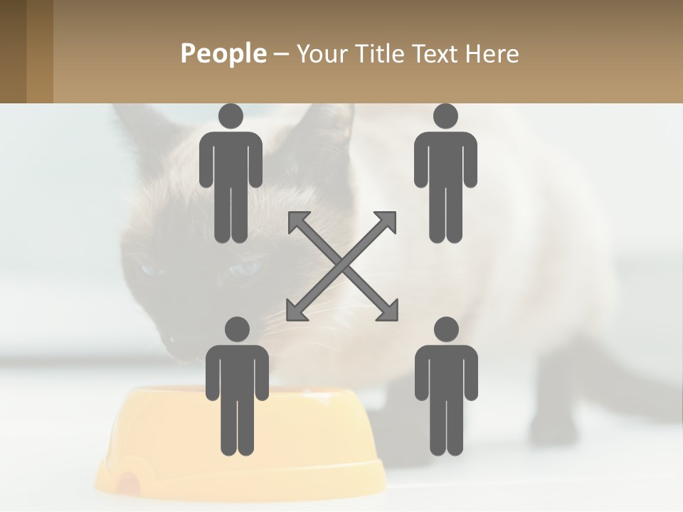 Ball Graphic Background PowerPoint Template