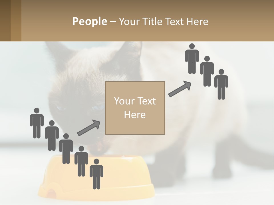 Ball Graphic Background PowerPoint Template