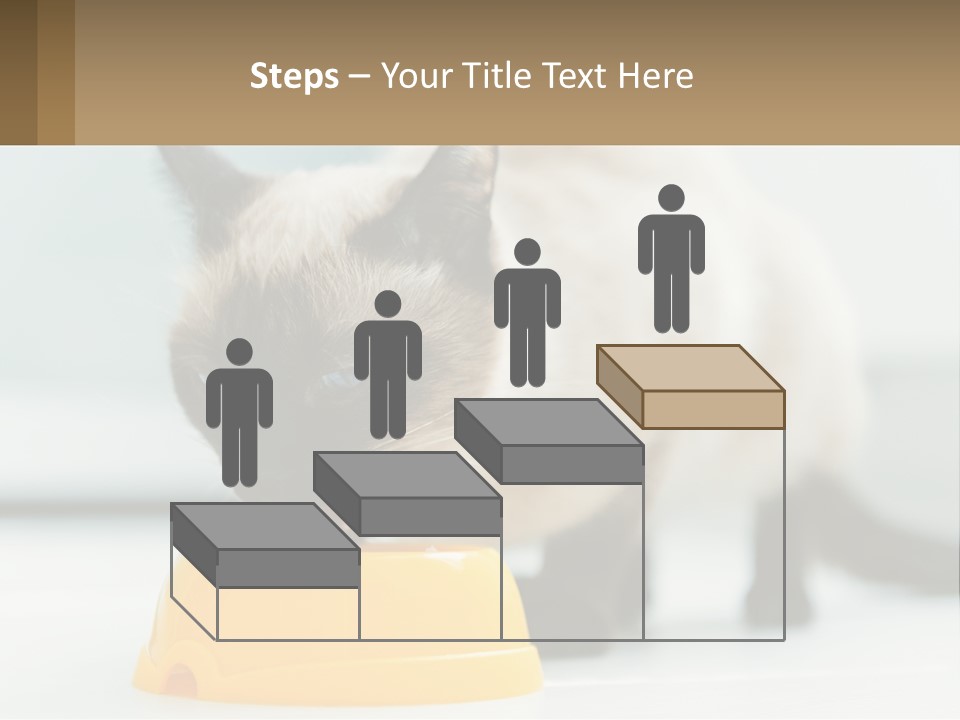 Ball Graphic Background PowerPoint Template