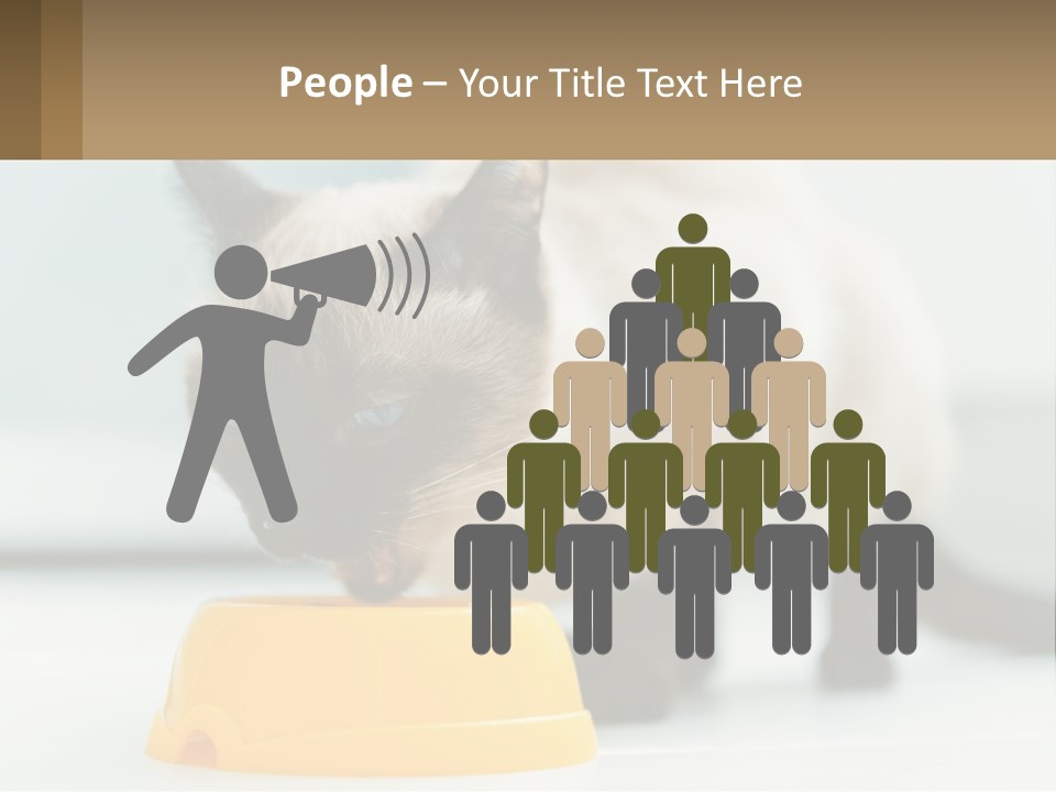 Ball Graphic Background PowerPoint Template