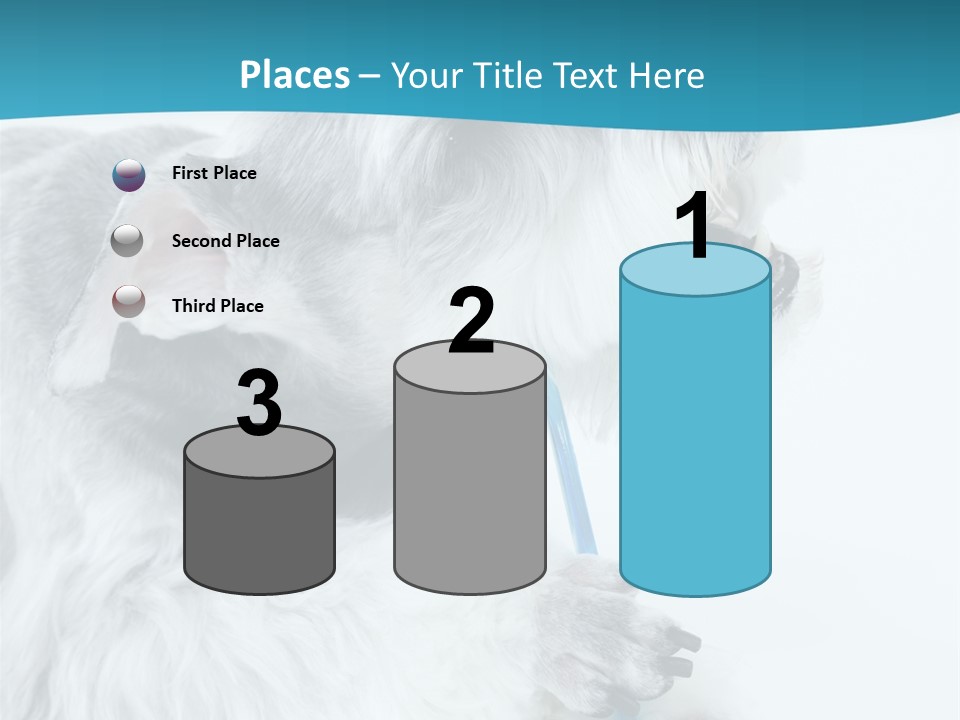 Concept City Design PowerPoint Template