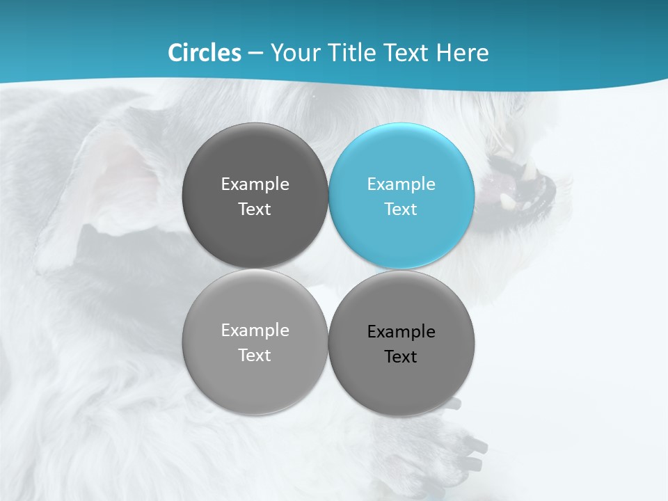 Concept City Design PowerPoint Template