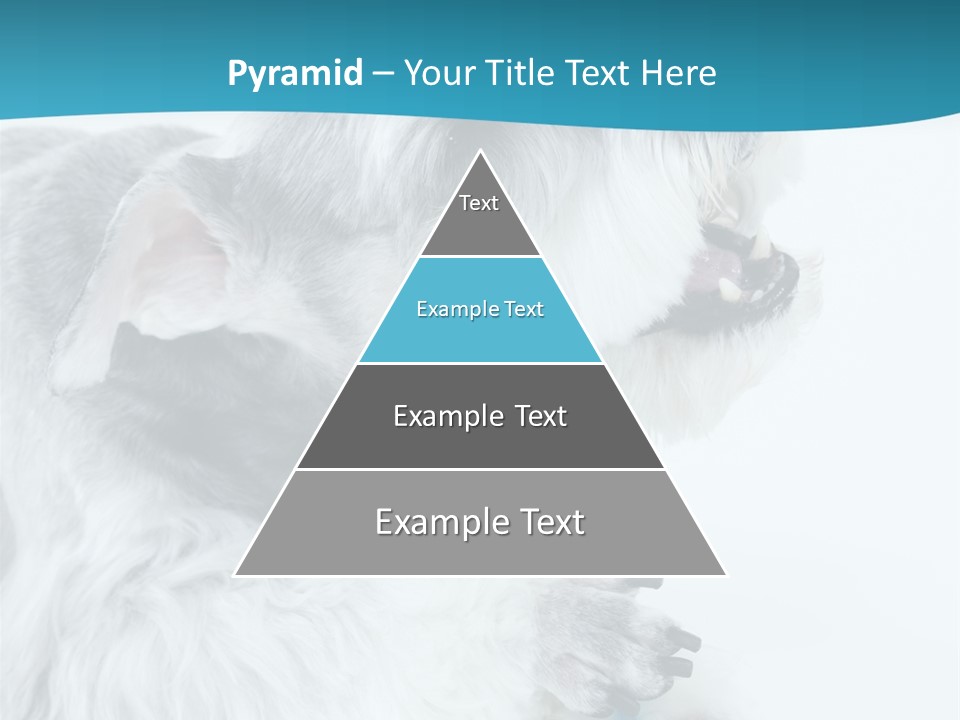 Concept City Design PowerPoint Template