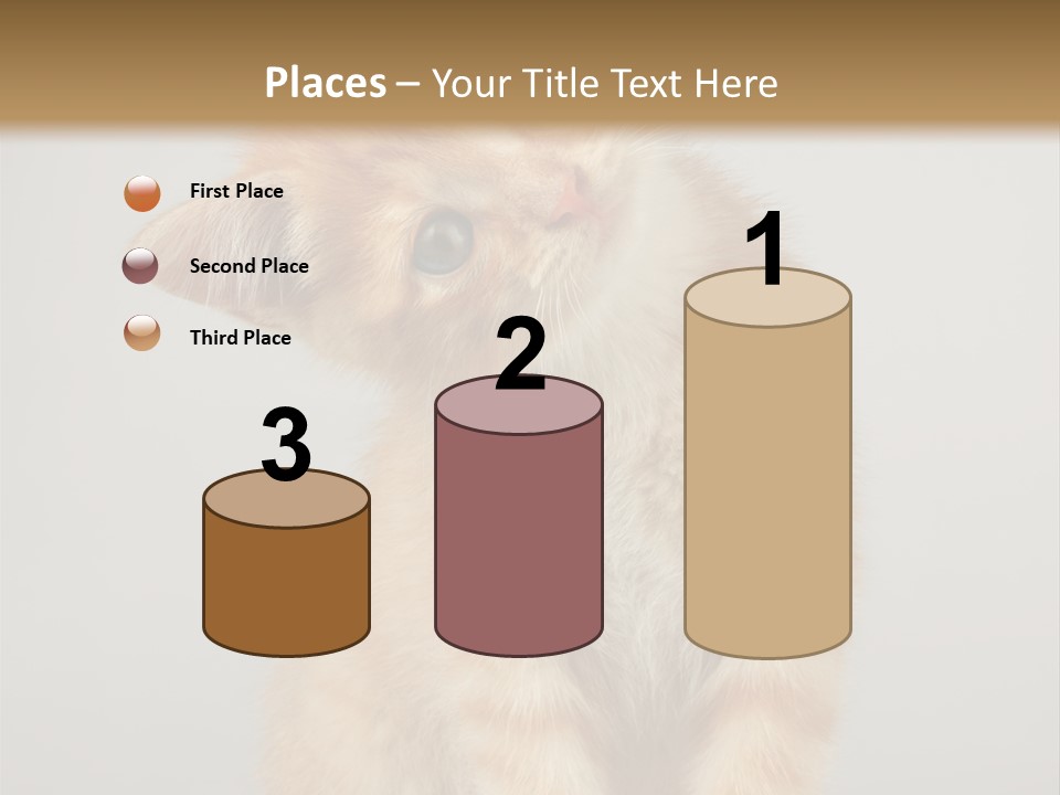 Render Tall Global PowerPoint Template