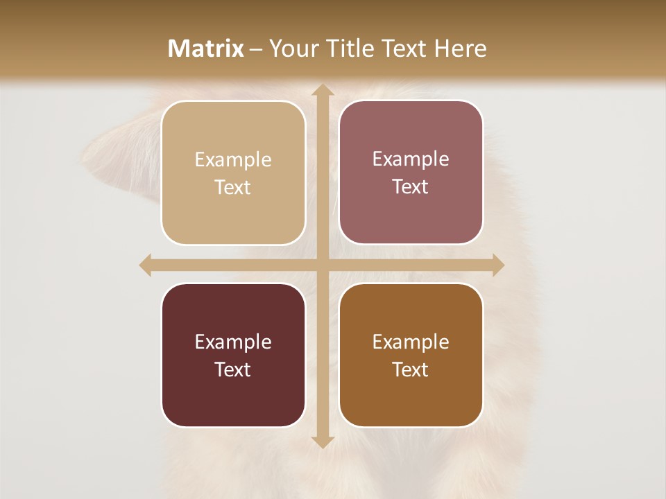 Render Tall Global PowerPoint Template