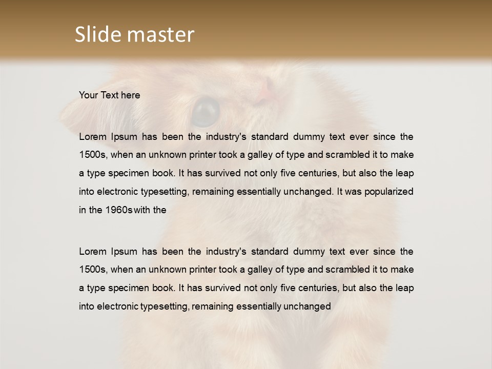 Render Tall Global PowerPoint Template