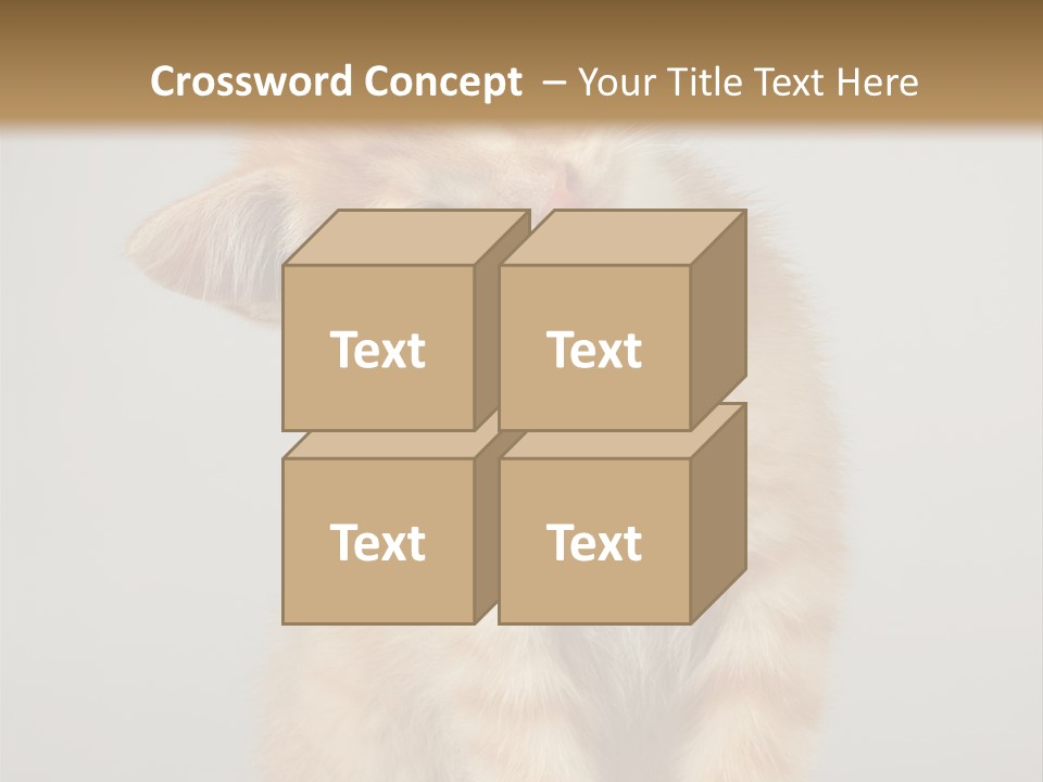 Render Tall Global PowerPoint Template