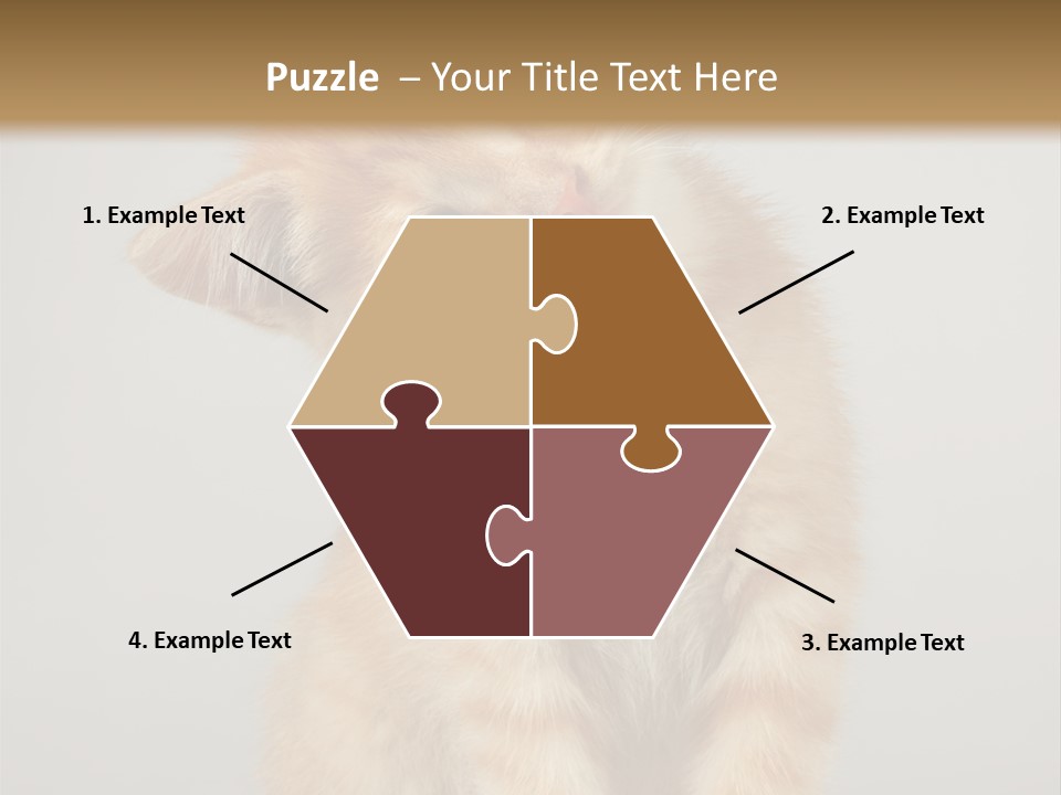 Render Tall Global PowerPoint Template