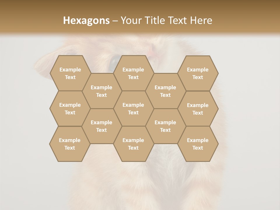 Render Tall Global PowerPoint Template