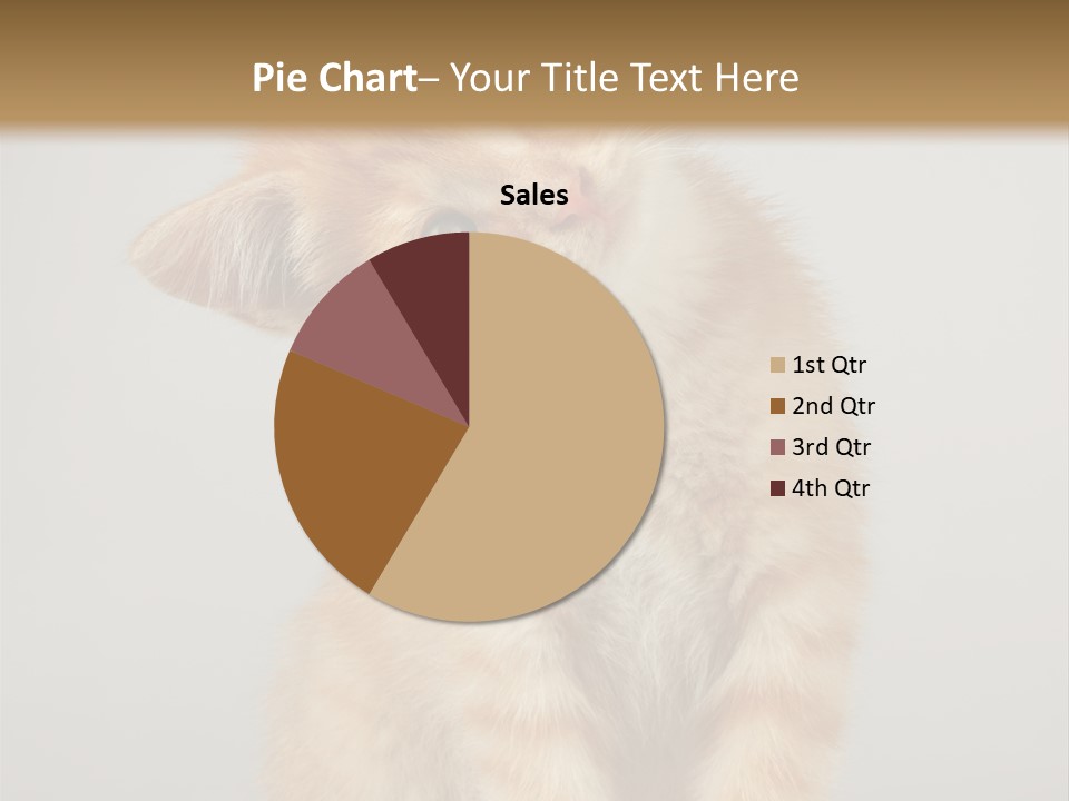 Render Tall Global PowerPoint Template