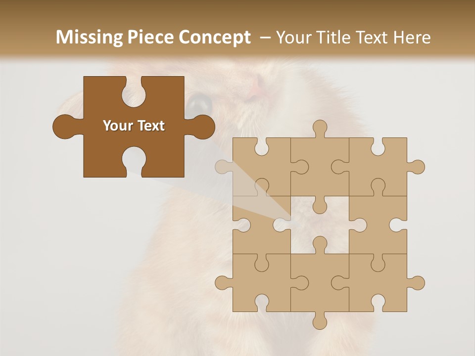 Render Tall Global PowerPoint Template