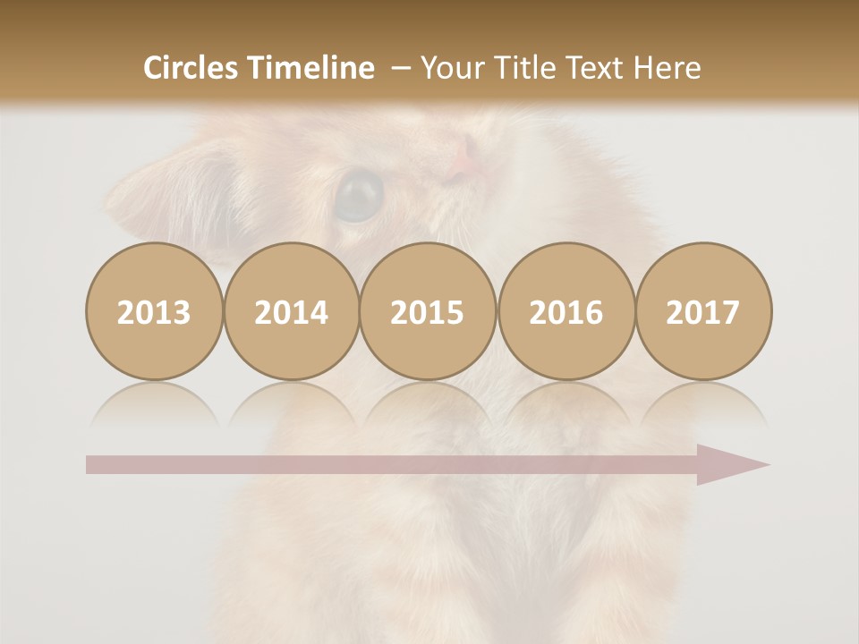 Render Tall Global PowerPoint Template
