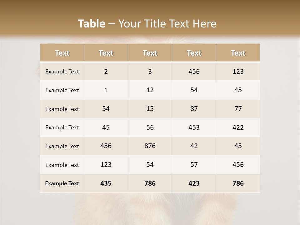 Render Tall Global PowerPoint Template
