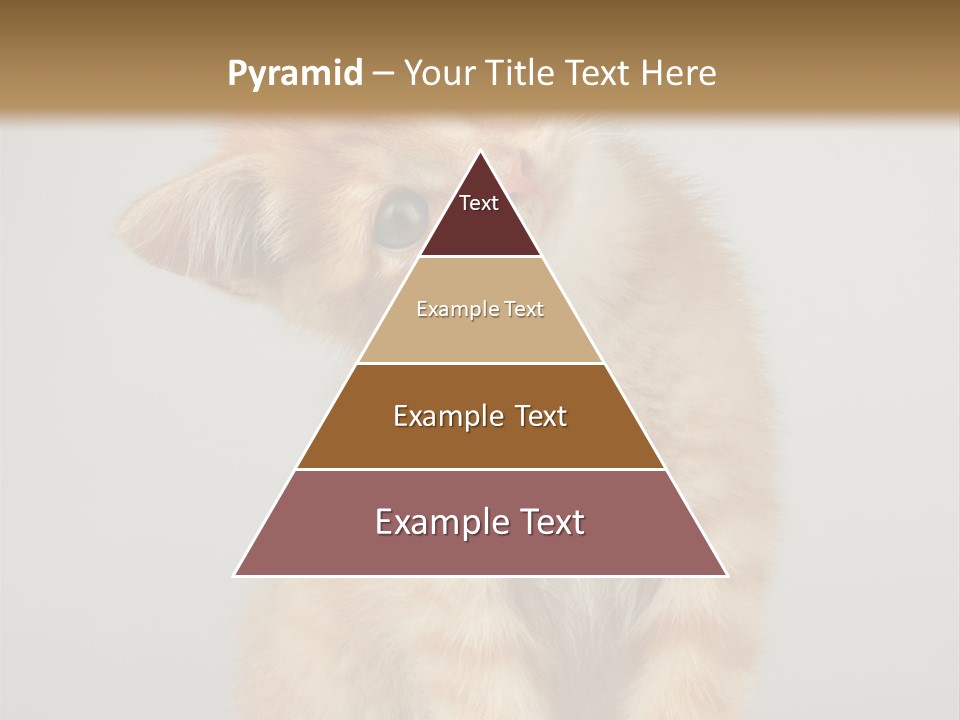 Render Tall Global PowerPoint Template