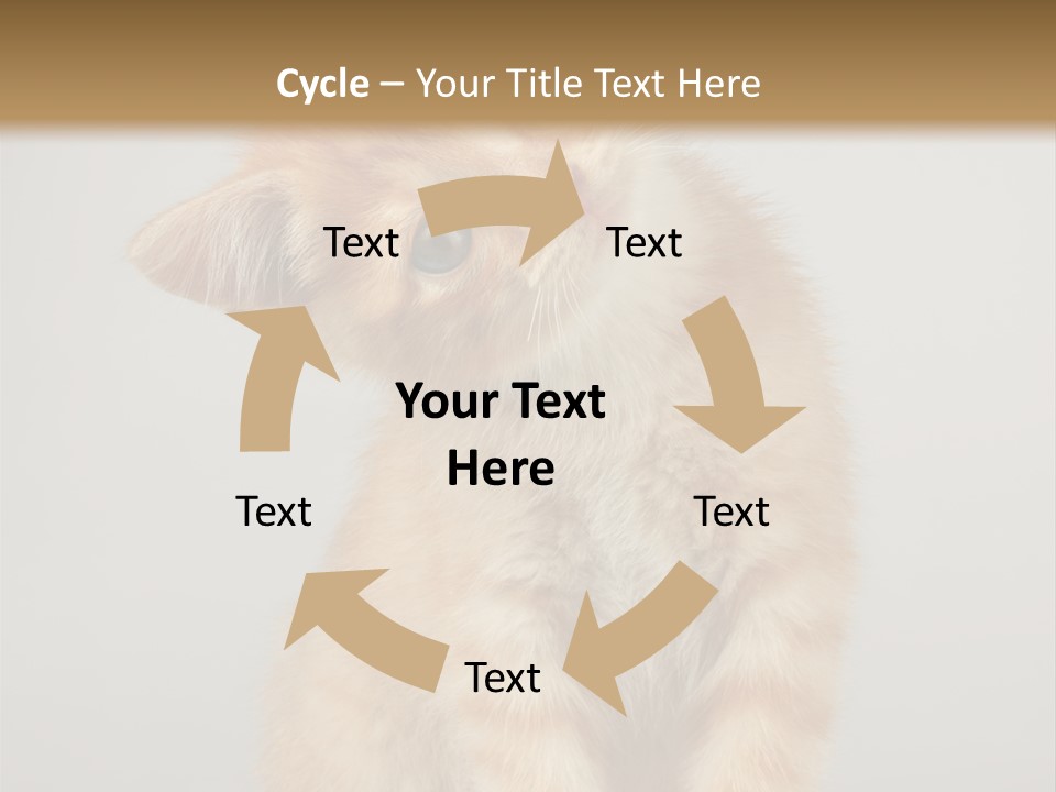 Render Tall Global PowerPoint Template
