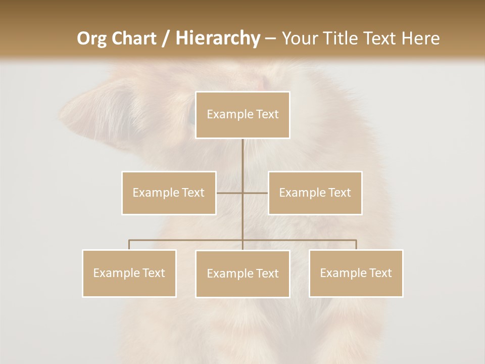 Render Tall Global PowerPoint Template