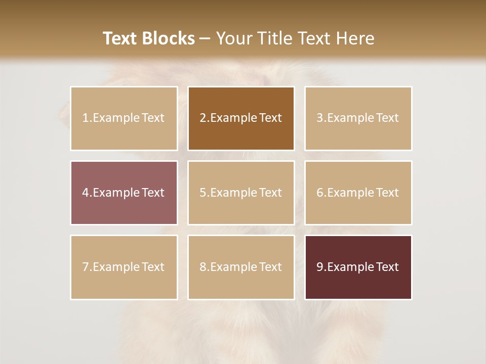 Render Tall Global PowerPoint Template