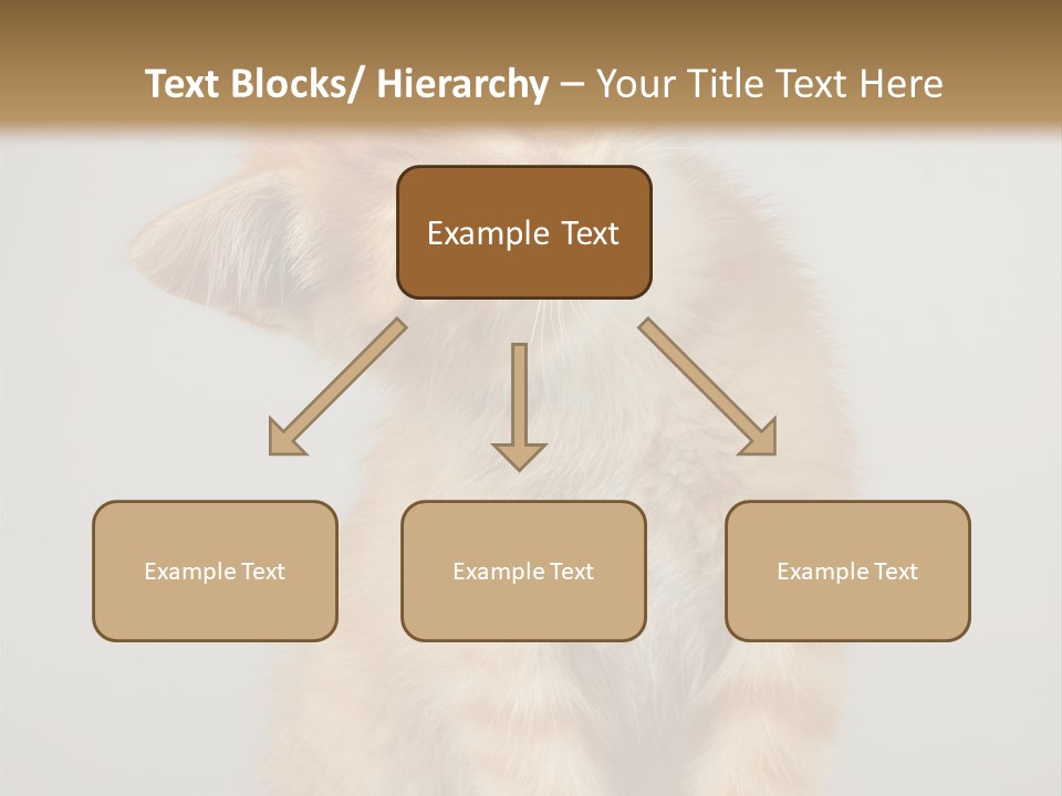 Render Tall Global PowerPoint Template