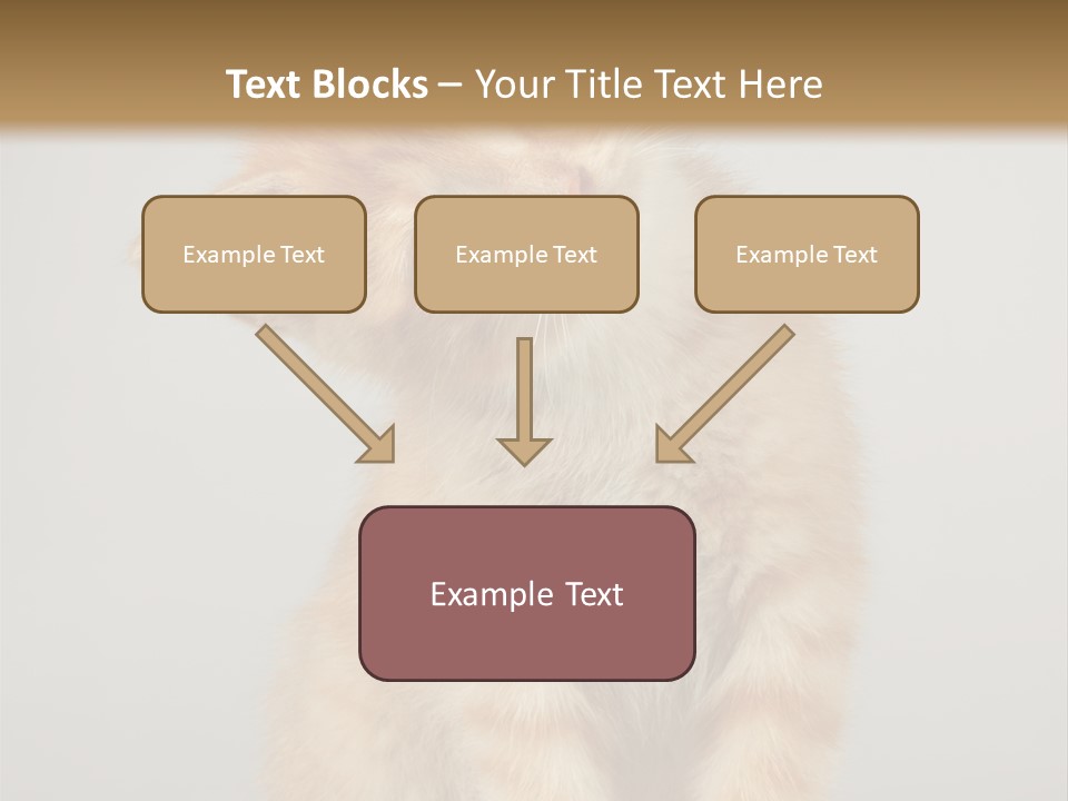 Render Tall Global PowerPoint Template