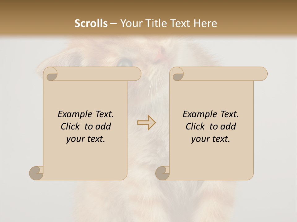 Render Tall Global PowerPoint Template