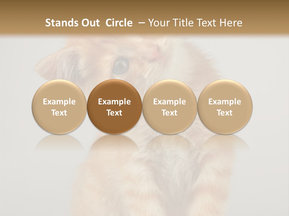 Render Tall Global PowerPoint Template