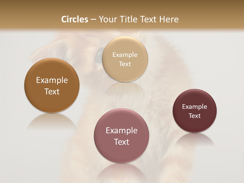Render Tall Global PowerPoint Template