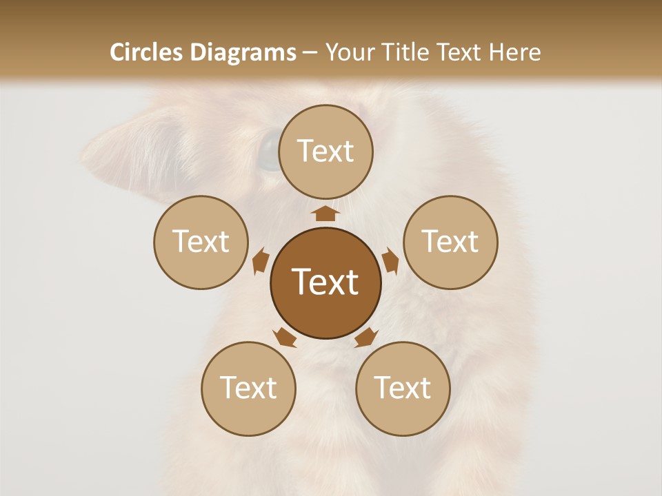 Render Tall Global PowerPoint Template
