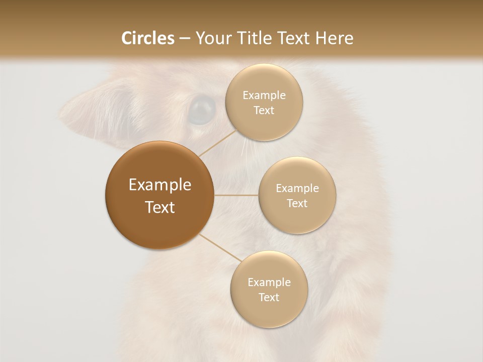 Render Tall Global PowerPoint Template