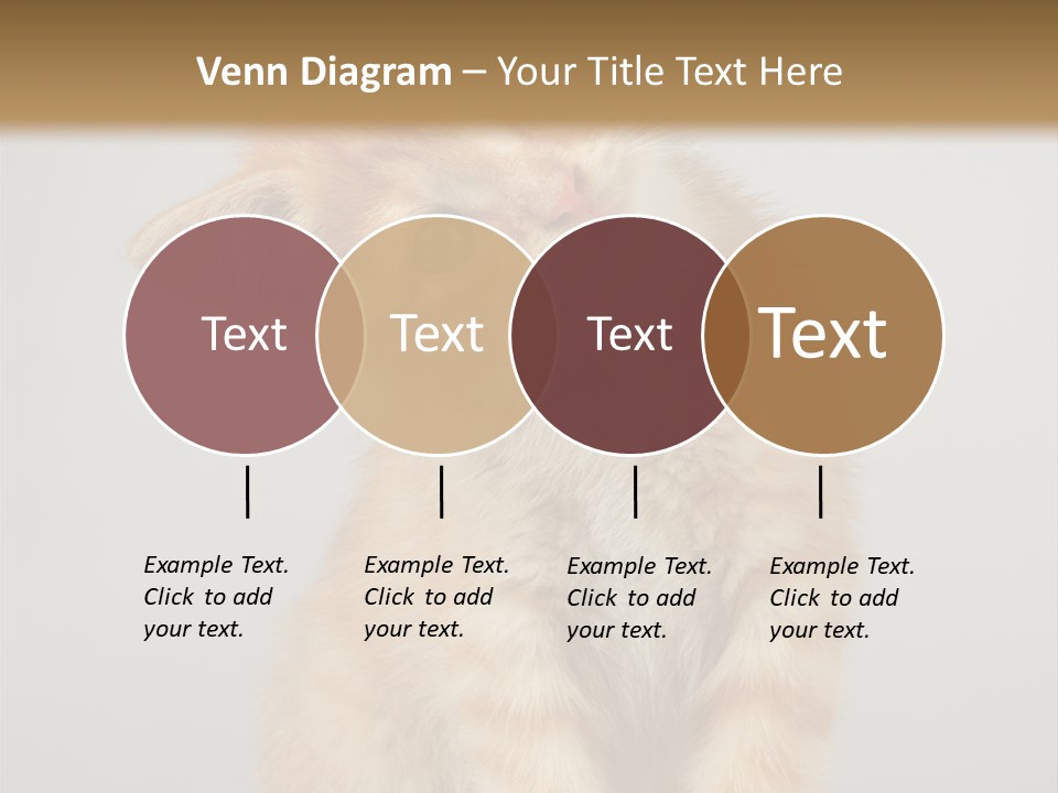 Render Tall Global PowerPoint Template