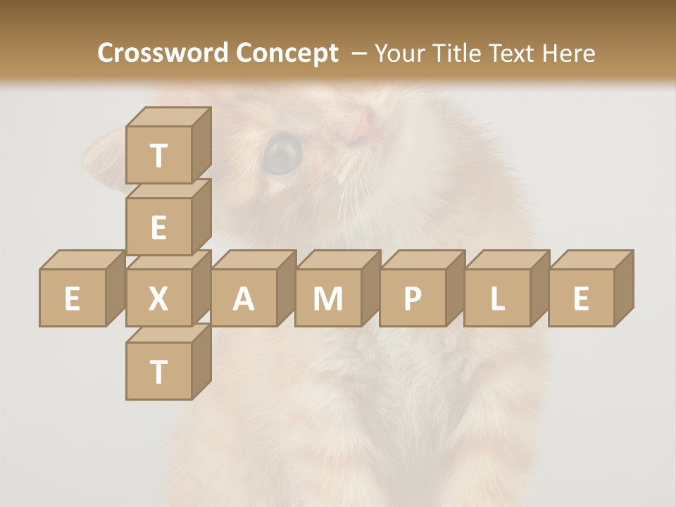 Render Tall Global PowerPoint Template