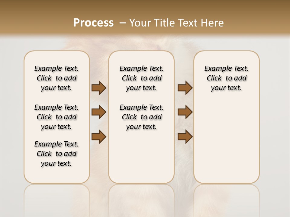 Render Tall Global PowerPoint Template