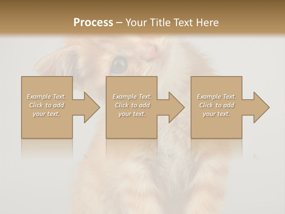 Render Tall Global PowerPoint Template