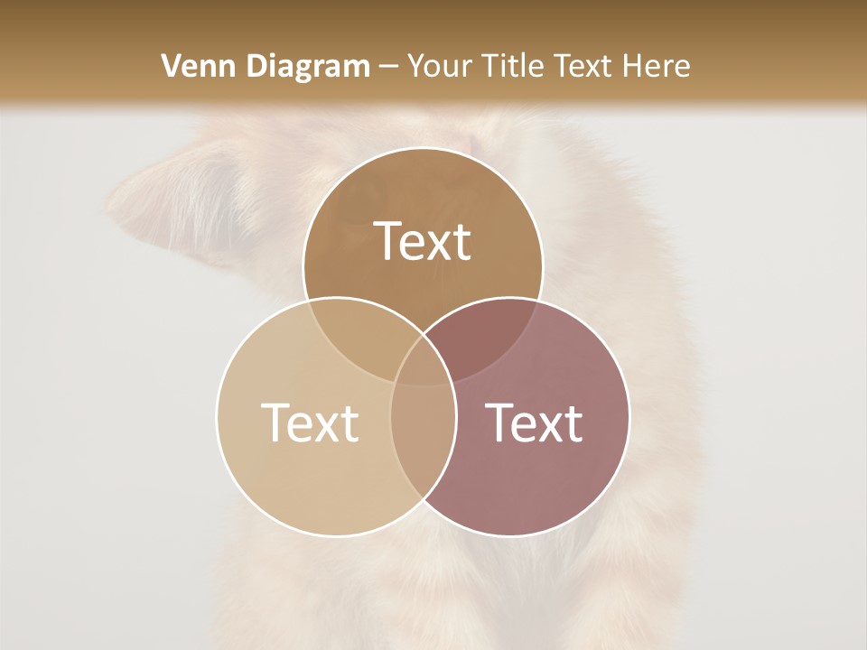Render Tall Global PowerPoint Template