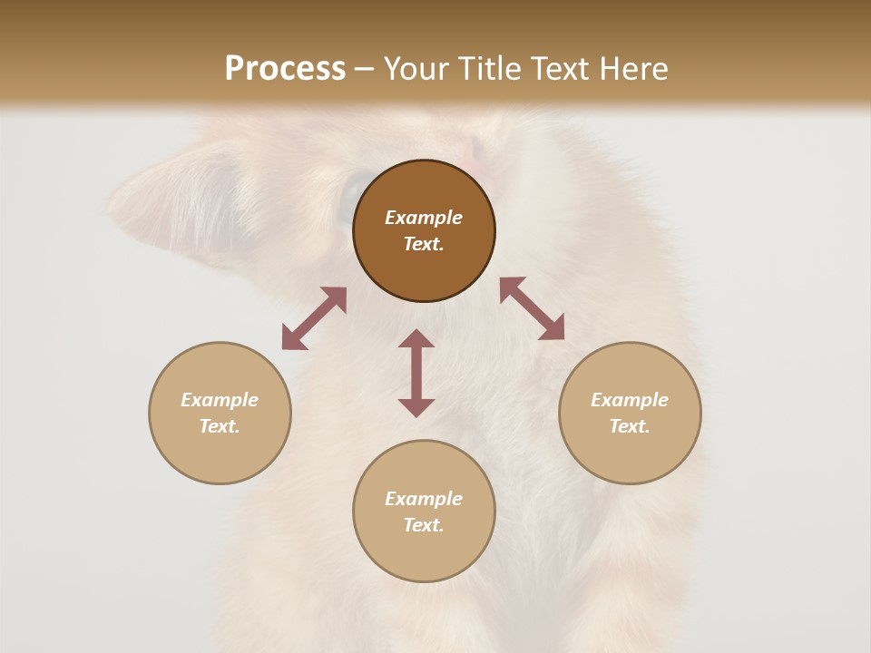 Render Tall Global PowerPoint Template