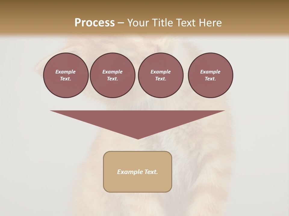 Render Tall Global PowerPoint Template