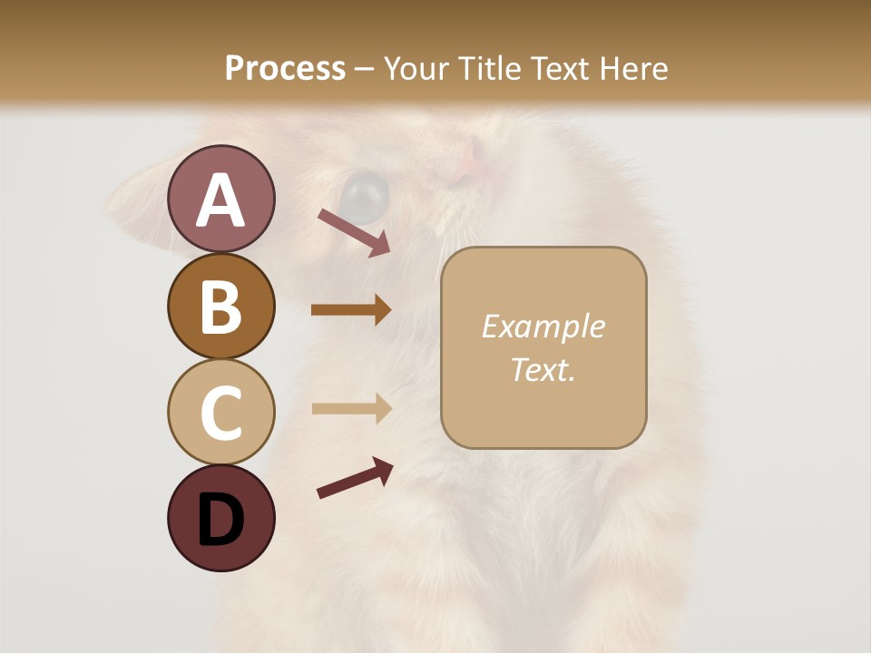 Render Tall Global PowerPoint Template