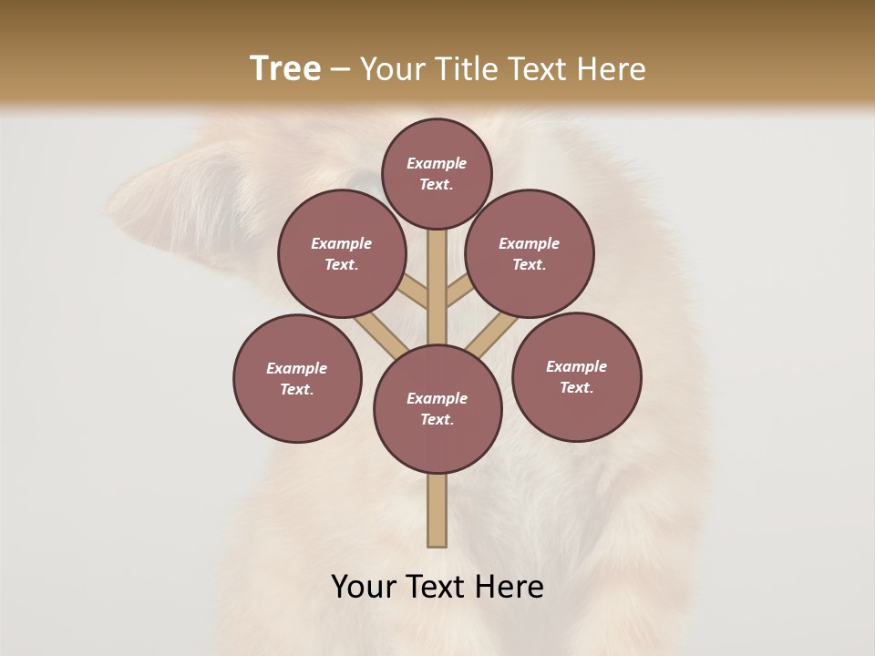 Render Tall Global PowerPoint Template