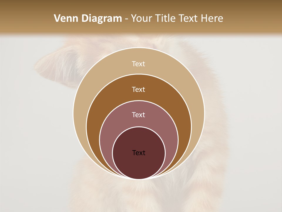 Render Tall Global PowerPoint Template