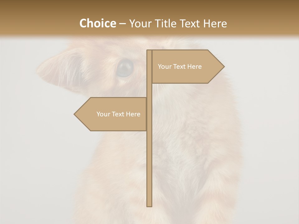 Render Tall Global PowerPoint Template