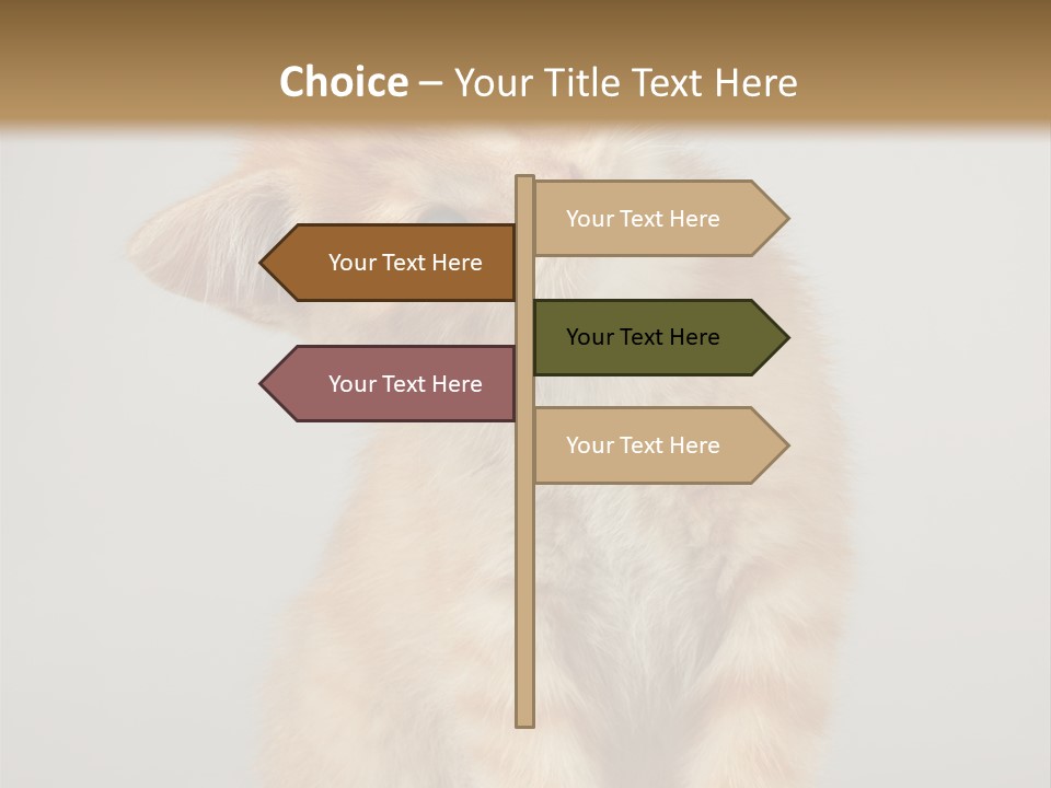 Render Tall Global PowerPoint Template